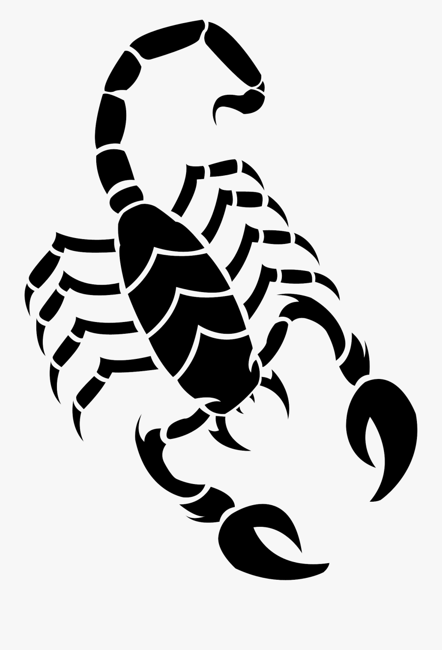 Scorpion Clipart Celtic - Drawings Of A Scorpion, Transparent Clipart