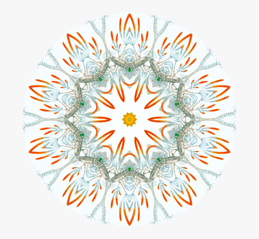 Symmetry,line,circle - Copepoda, Transparent Clipart