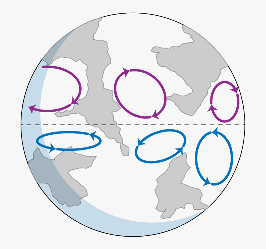 Transparent Hyena Clipart - Circle, Transparent Clipart