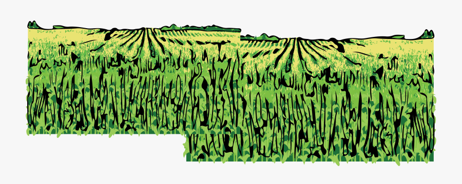 Transparent Prairie Clipart - Cartoon Corn Field, Transparent Clipart