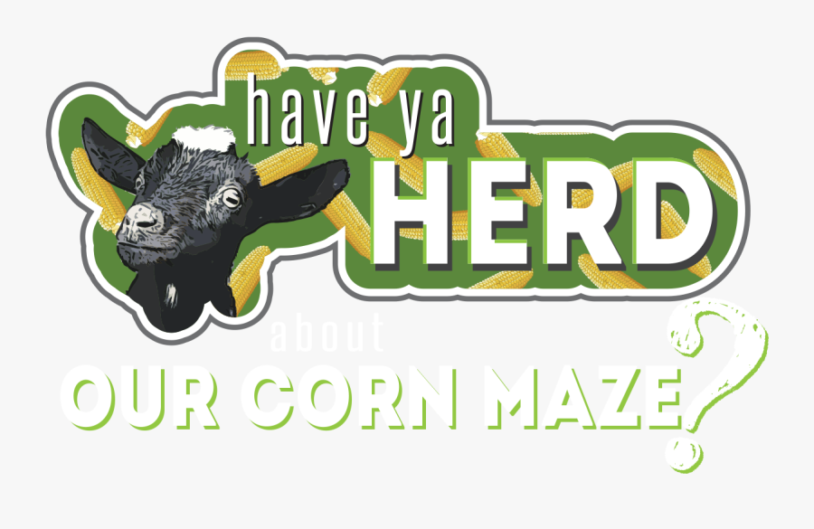 Graphic Design, Transparent Clipart