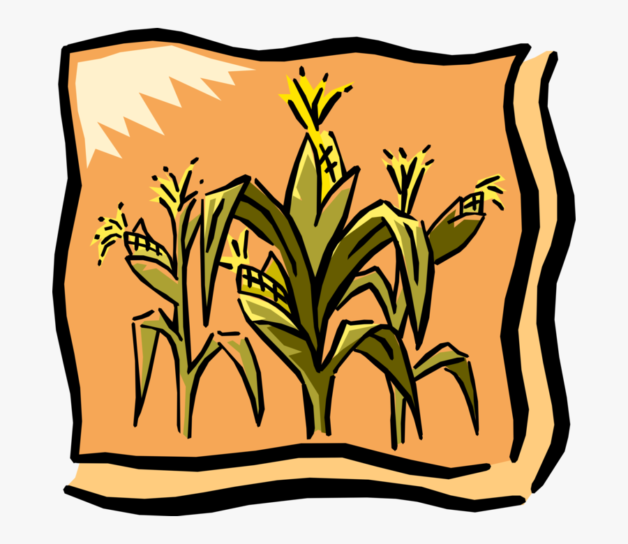 Vector Illustration Of Farm Cornfield Corn Crop In - Corn Graphic, Transparent Clipart