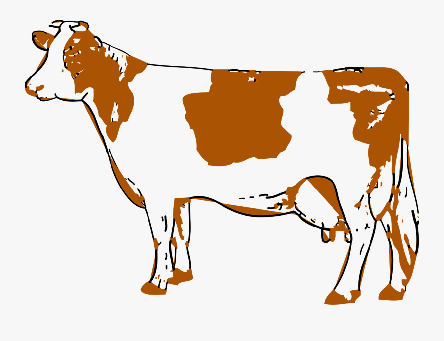 Transparent Cow Head Png - Cow Drawing Png, Transparent Clipart