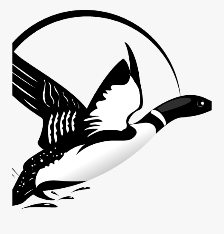Loon On Lake Clipart, Transparent Clipart