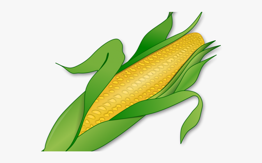 Crispr Applications In Plants, Transparent Clipart