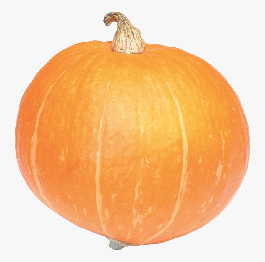 9350 - Calabaza Png, Transparent Clipart
