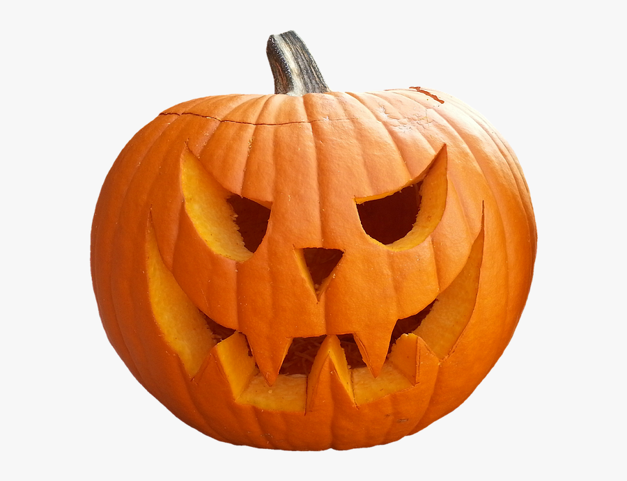 Transparent Pumpkin Picture Clipart - Halloween Pumpkin Real, Transparent Clipart