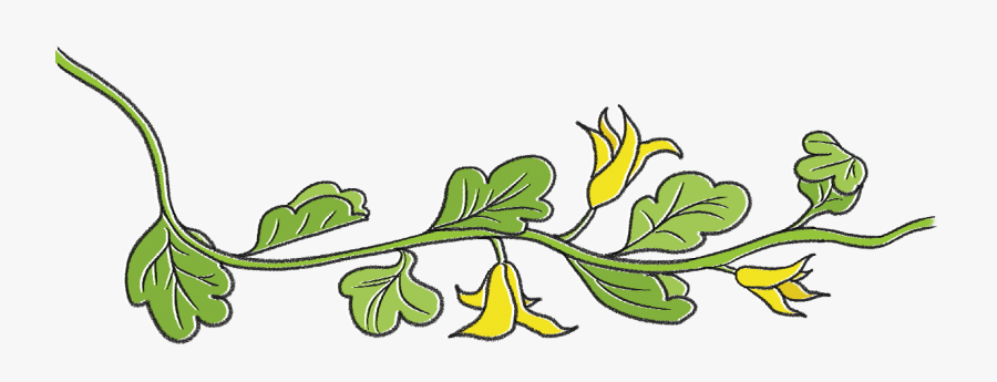 Leaf Vines Fall Cooked - Cucumber Vine Clipart, Transparent Clipart