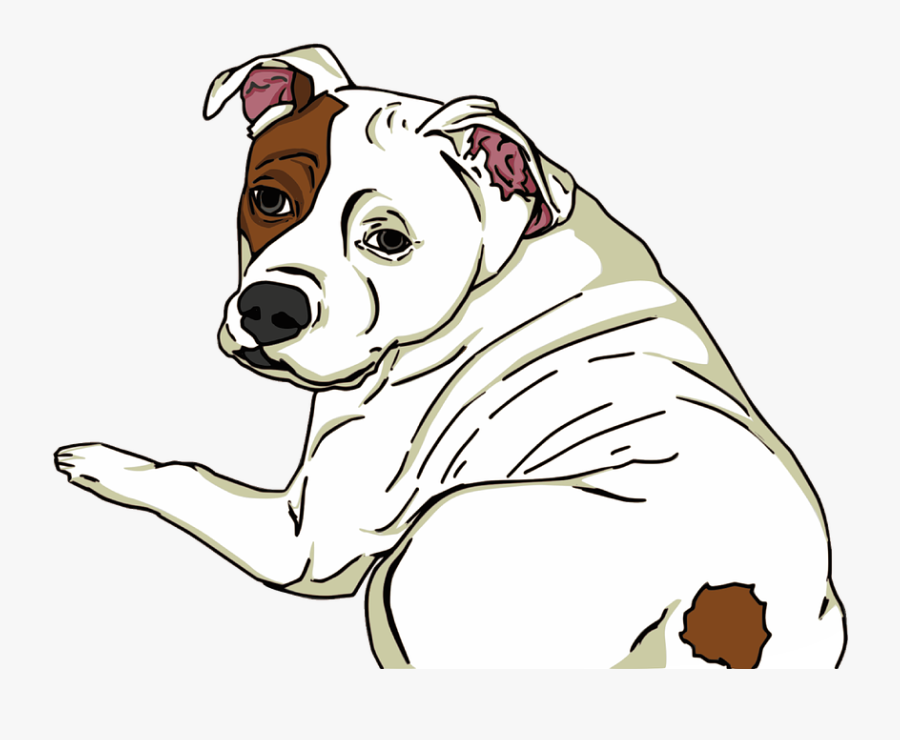 Animal, Dog, Pet, Mammal, Sitting, Lying - American Bulldog, Transparent Clipart
