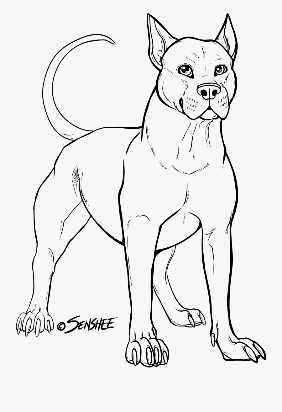 Pitbull Lineart Black White - Pitbull Lineart, Transparent Clipart