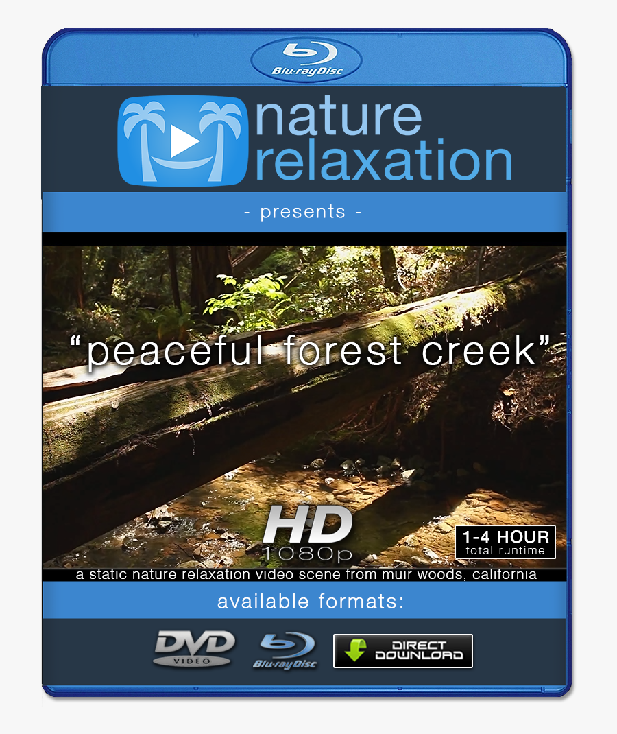 Clip Art Forest Creek Looping Nature - Vertical Full Hd Video, Transparent Clipart