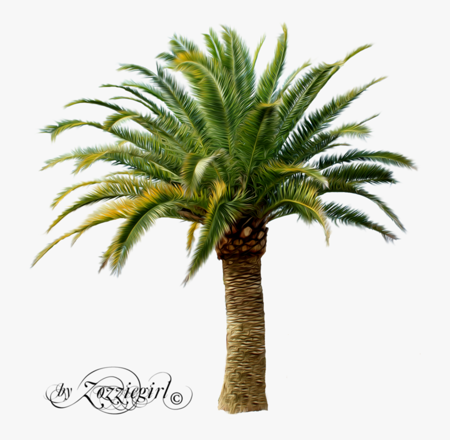 Island Clipart Island Jamaica - Transparent Date Tree Png, Transparent Clipart