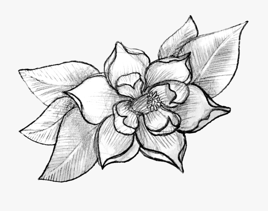 Art Corrie Clark - Orchid, Transparent Clipart