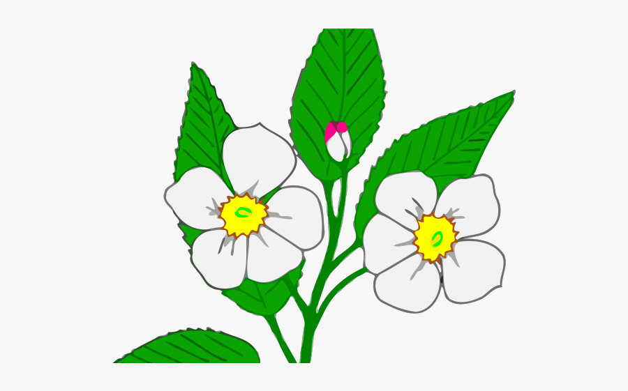 Apple Blossom Clipart, Transparent Clipart