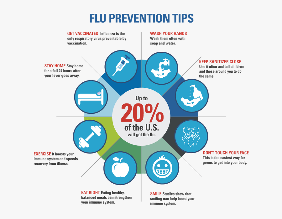 Preventive Measures Of Swine Flu, Transparent Clipart