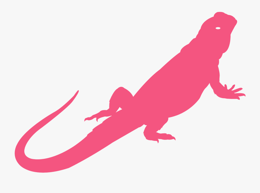 Bearded Dragon Silhouette, Transparent Clipart