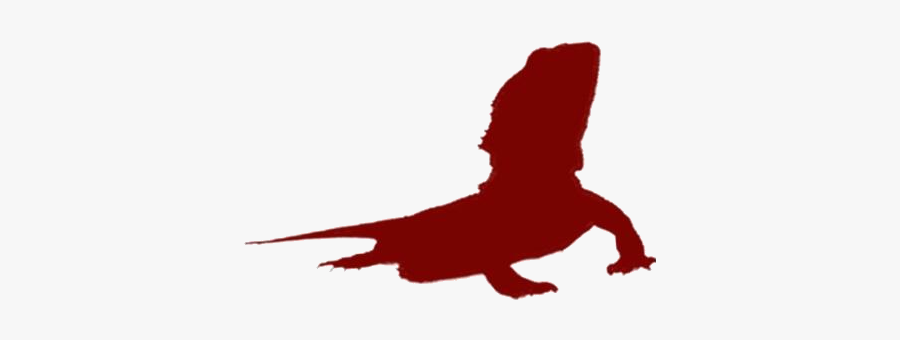 Transparent Bearded Dragon Clipart, Bearded Dragon - Illustration, Transparent Clipart