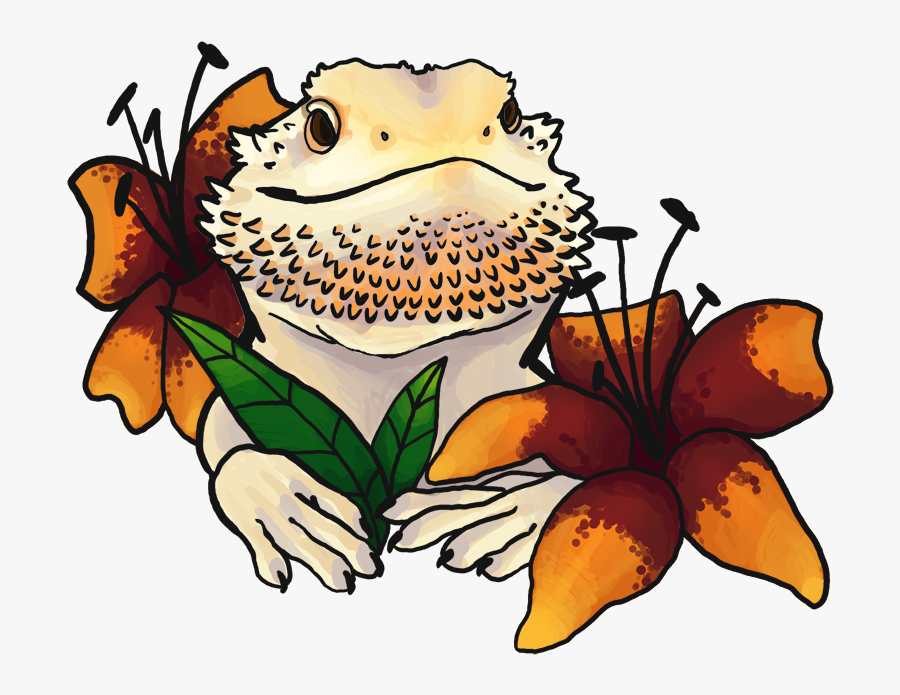 Sunfish Exotics, This Cute Bearded Dragon Belongs To - Cartoon Bearded Dargon Drawing, Transparent Clipart