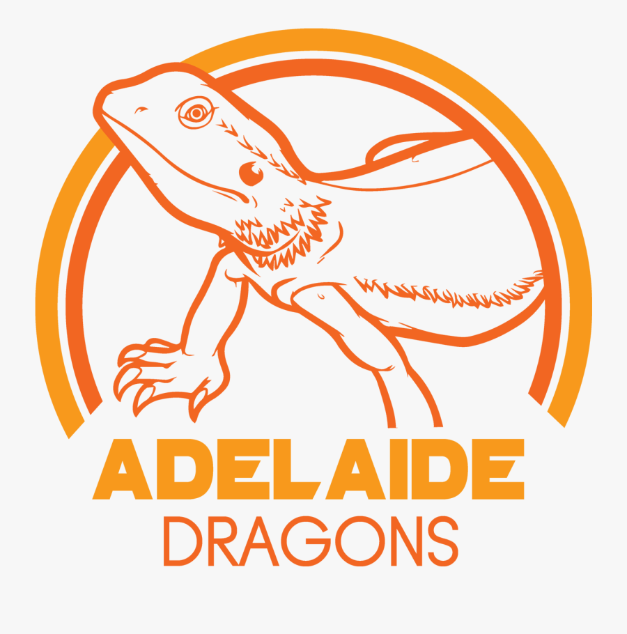 Draw A Bearded Dragon - Lizard Colouring, Transparent Clipart