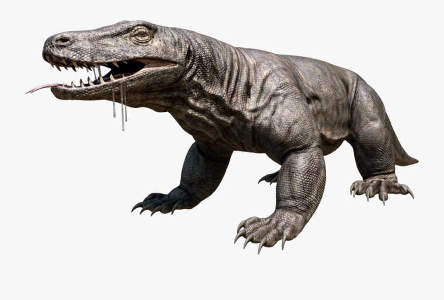 Komodo Dragon Png, Transparent Clipart