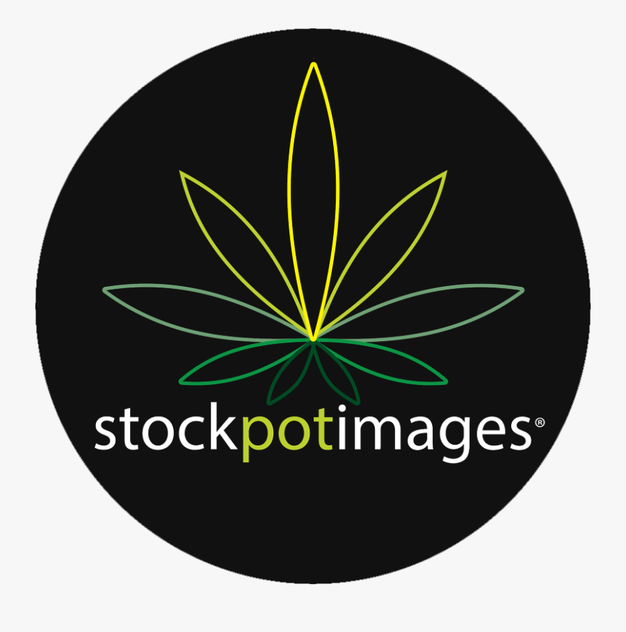 Circle,spiral,symmetry - Whole U Uw, Transparent Clipart