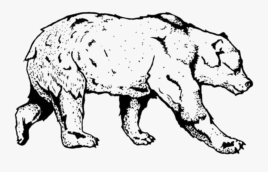 Transparent Bear Hibernation Clipart - Clipart Black And White Animal Reech, Transparent Clipart