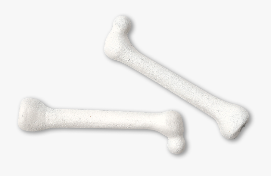 Phosphorus Bones, Transparent Clipart