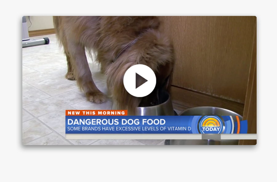 Giant Dog Breed, Transparent Clipart