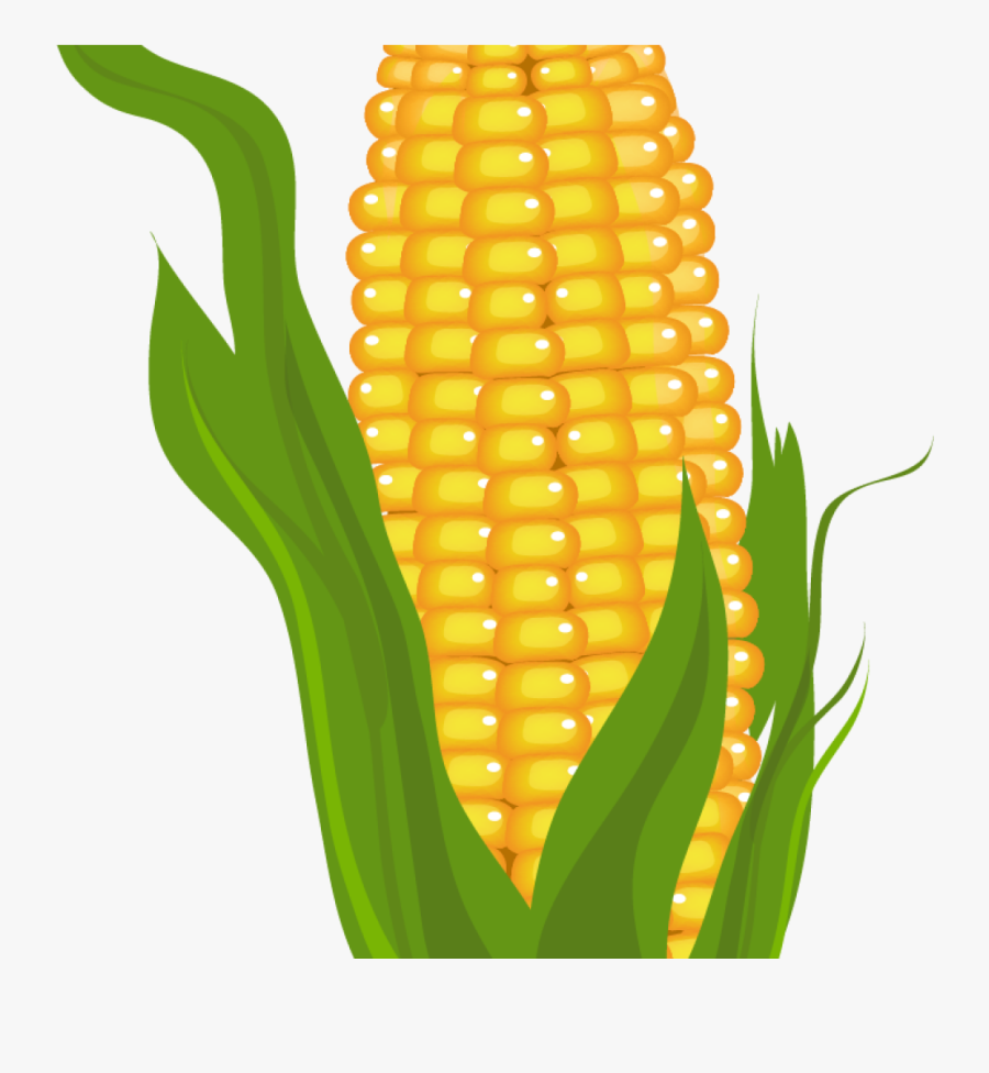 Corn Clipart Clip Art Stock - Maize Clipart, Transparent Clipart