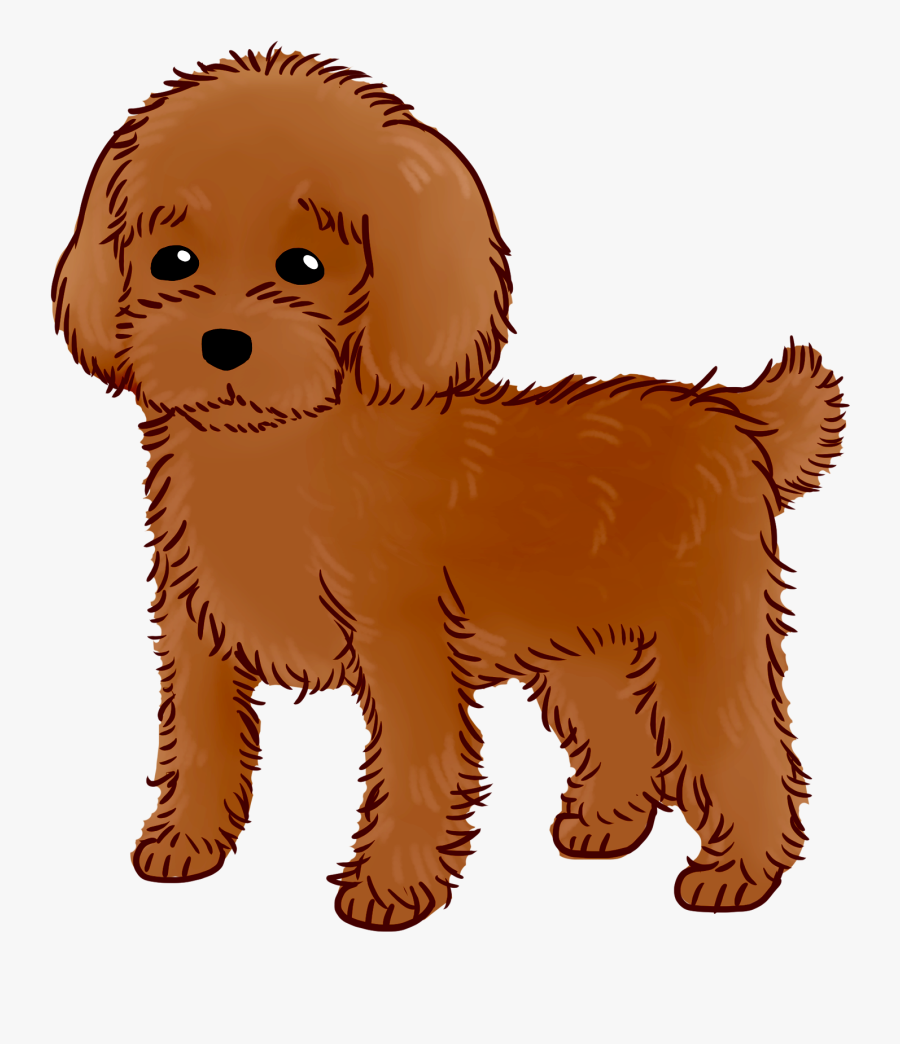 Goldendoodle Puppy Dog Breed Water Dog Companion Dog - Companion Dog, Transparent Clipart