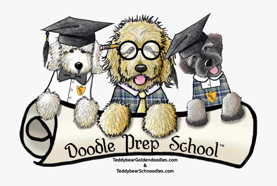 Golden Doodle Clipart - Puppies For Sale, Transparent Clipart