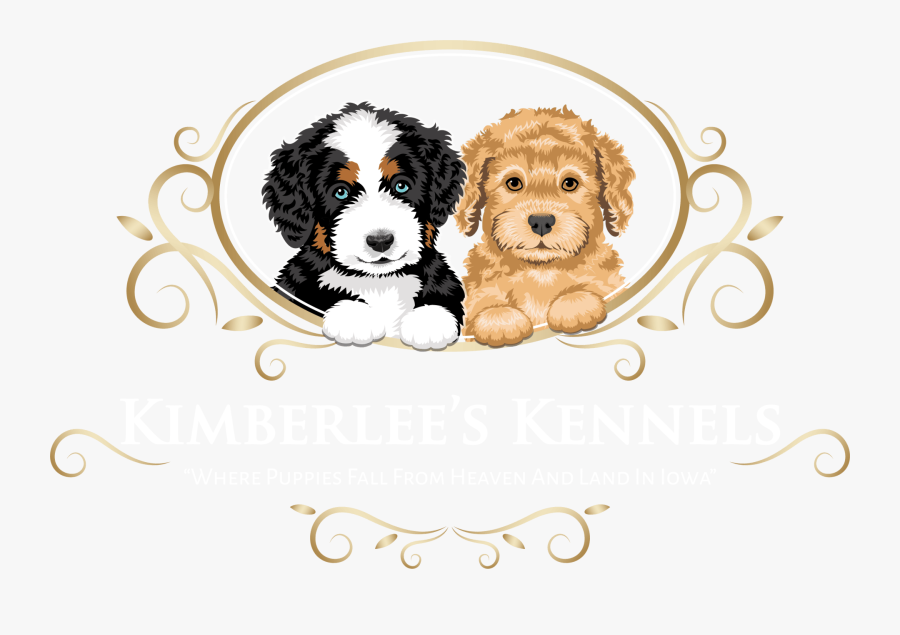 Clip Art Poodle Quotes - Labradoodle, Transparent Clipart