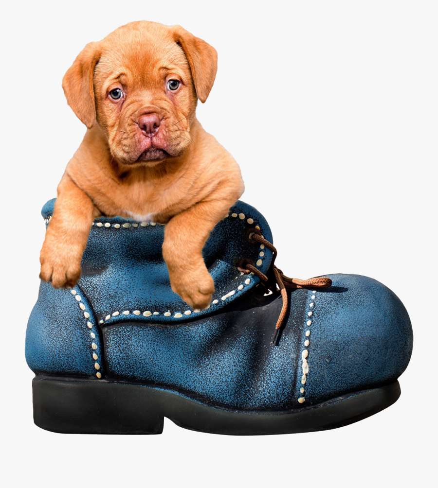 Vector Dog Png Image Purepng - Pior Saudade É Aquela Que Você Sente Mas Sabe Que Não, Transparent Clipart