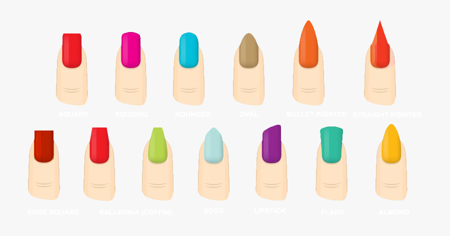 Clip Art Different Fingernail Shapes, Transparent Clipart