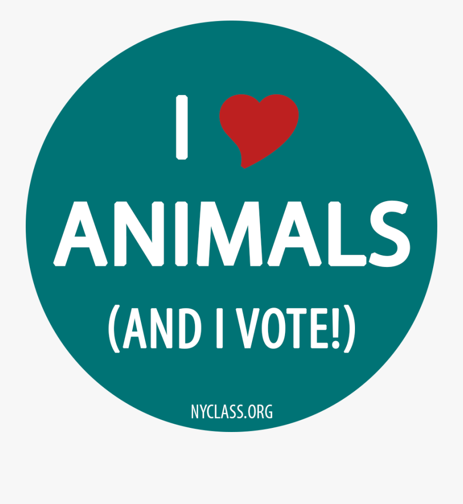 Circle, Transparent Clipart