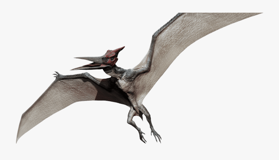 Jurassic Park Pteranodon Clipart , Png Download - Jurassic World Real Pterodactyl, Transparent Clipart