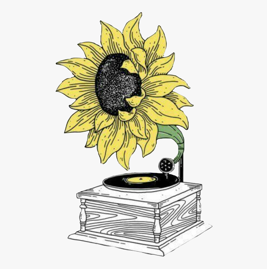 Sun Sunflower Record Recordplayer Vintage Freetoedit - Aesthetic Drawings Of A Sunflower, Transparent Clipart