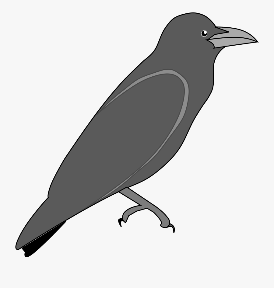 Raven Png - Outline Pic Of Crow, Transparent Clipart