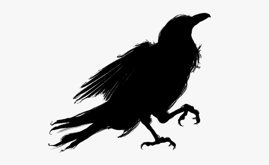 Silhouette Bird American Crow - Crow With Transparent Background, Transparent Clipart