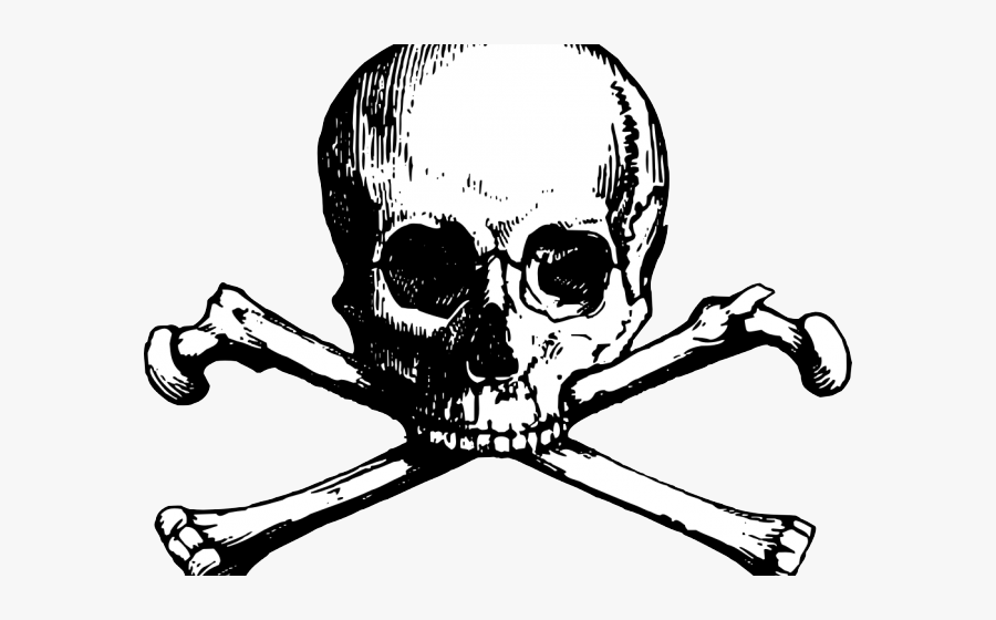 New England Patriots Clipart Skull - Skull And Bones Png Transparent, Transparent Clipart