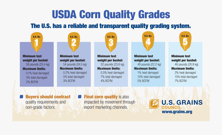 Usda Corn Grading - Usda Corn Quality Grades, Transparent Clipart