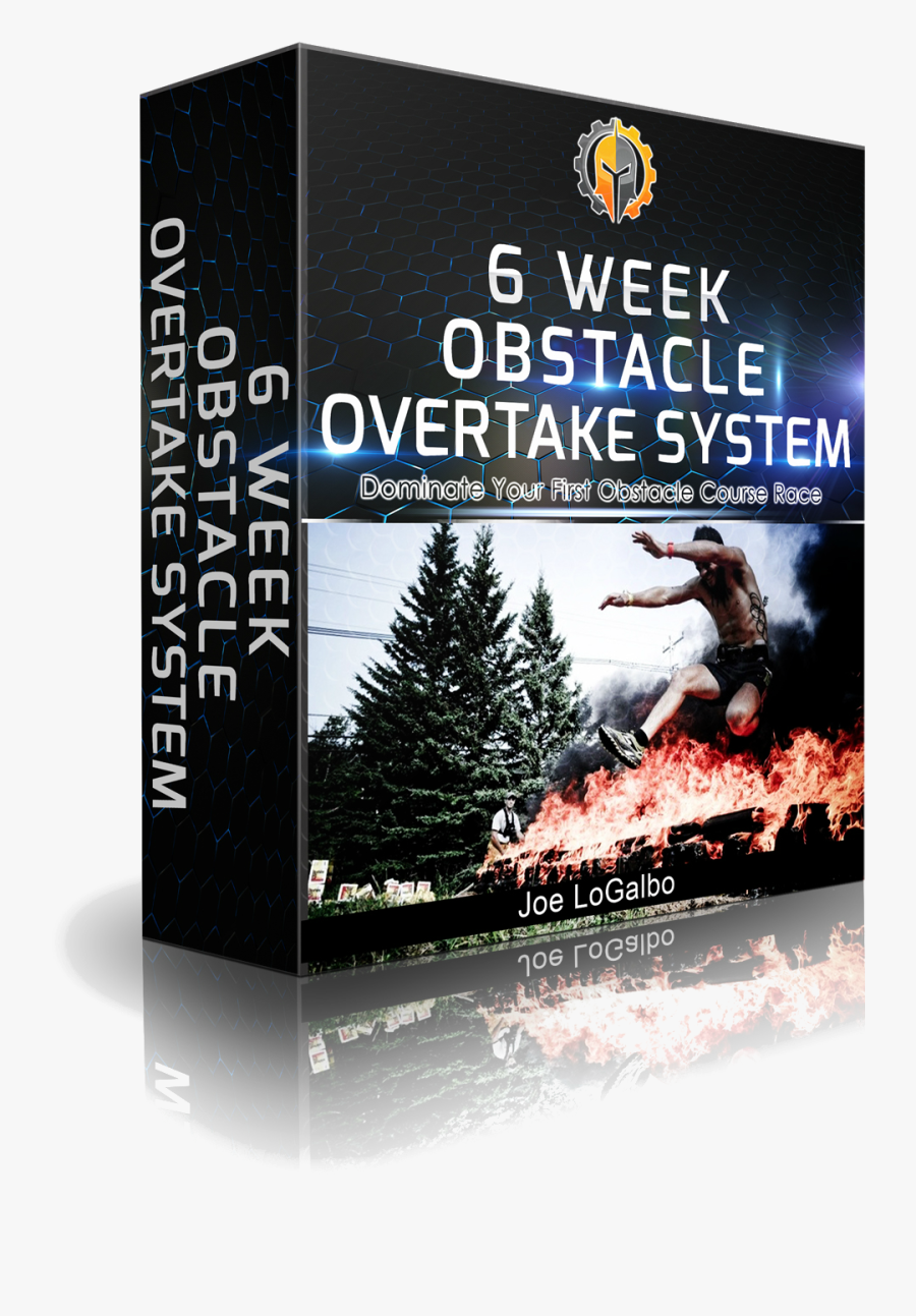 Christmas Tree, Transparent Clipart