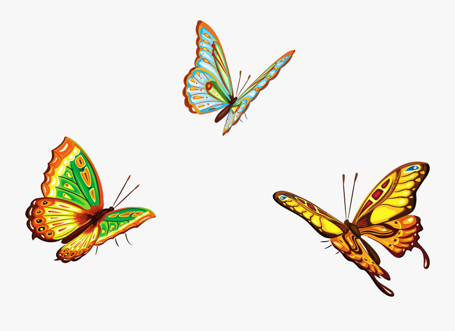 Transparent Butterfly In Clipart - Butterflies Clipart Png, Transparent Clipart