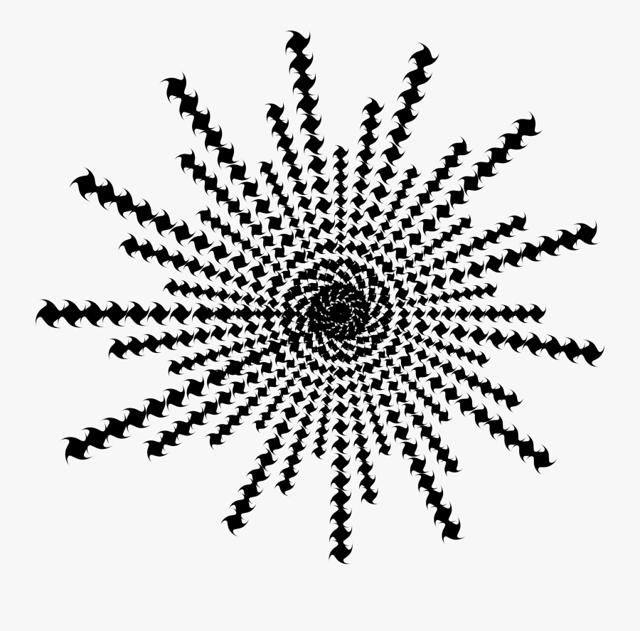 Visual Arts,plant,symmetry - Sound Waves In Circle, Transparent Clipart