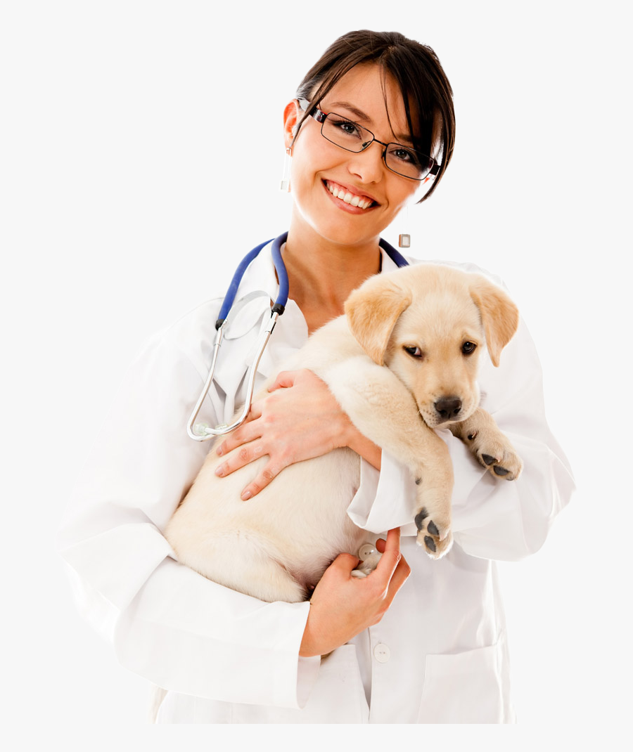 Physician Beauty Doctor Pet Holds Dog Cat Clipart - Png Pet Doctor, Transparent Clipart