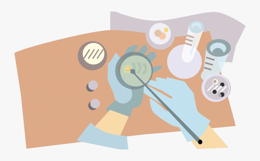 Chemistry - Agar Plate Clipart, Transparent Clipart