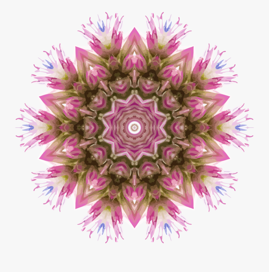 Flower,purple,petal - Victory Hemp Foods, Transparent Clipart