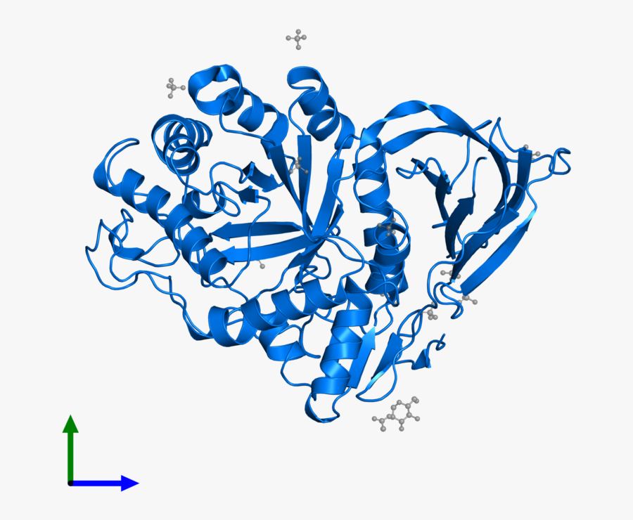 Graphic Design, Transparent Clipart