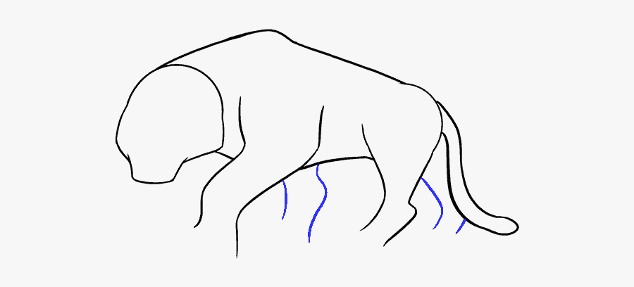 Tails Drawing Tigger Transparent Png Clipart Free Download - Sketch, Transparent Clipart