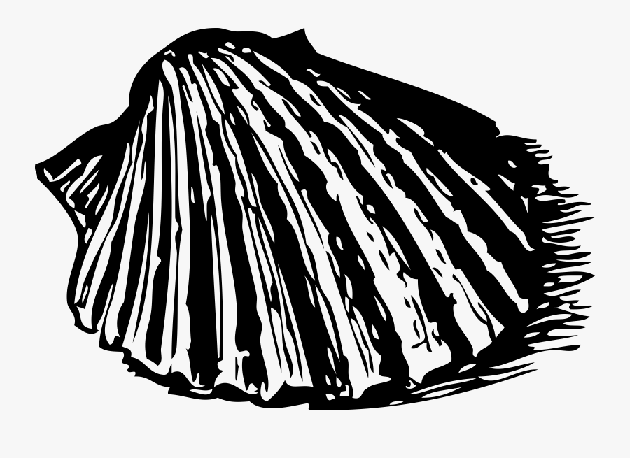 Clip Art Scallop Shell Clip Art - Shell Clip Art, Transparent Clipart
